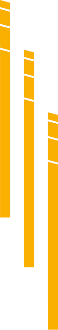 decorazione2